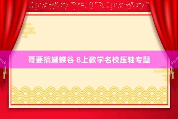 哥要搞蝴蝶谷 8上数学名校压轴专题
