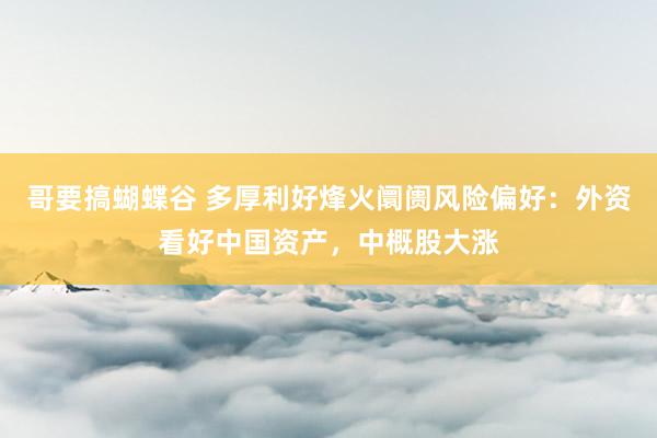 哥要搞蝴蝶谷 多厚利好烽火阛阓风险偏好：外资看好中国资产，中概股大涨