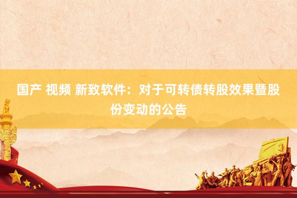 国产 视频 新致软件: 对于可转债转股效果暨股份变动的公告