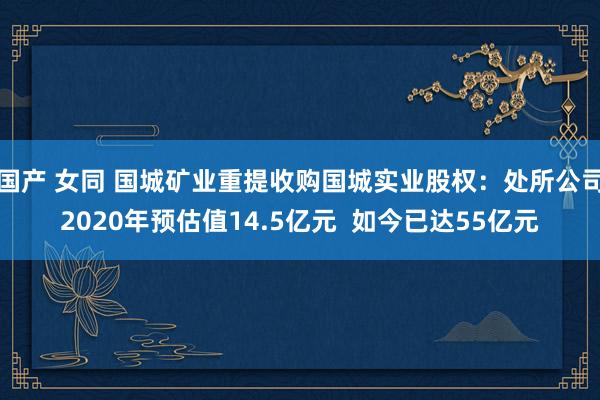 国产 女同 国城矿业重提收购国城实业股权：处所公司2020年预估值14.5亿元  如今已达55亿元