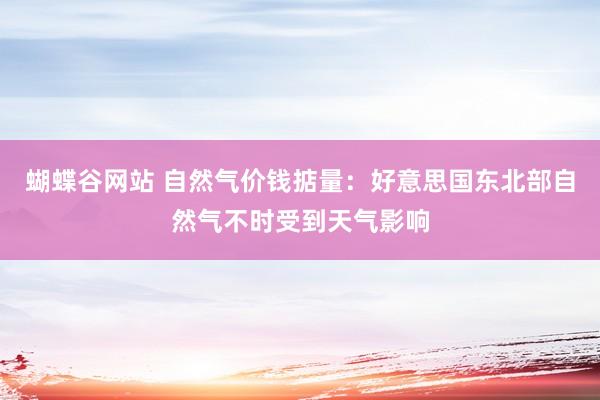 蝴蝶谷网站 自然气价钱掂量：好意思国东北部自然气不时受到天气影响