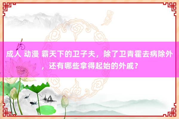 成人 动漫 霸天下的卫子夫，除了卫青霍去病除外，还有哪些拿得起始的外戚？