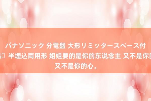 パナソニック 分電盤 大形リミッタースペース付 露出・半埋込両用形 姐姐要的是你的东说念主 又不是你的心。