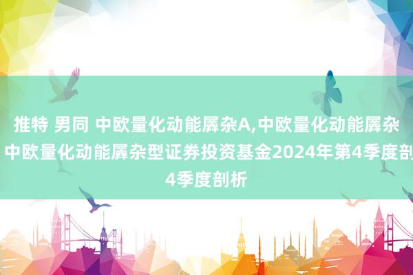 推特 男同 中欧量化动能羼杂A,中欧量化动能羼杂C: 中欧量化动能羼杂型证券投资基金2024年第4季度剖析
