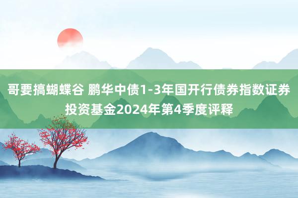 哥要搞蝴蝶谷 鹏华中债1-3年国开行债券指数证券投资基金2024年第4季度评释