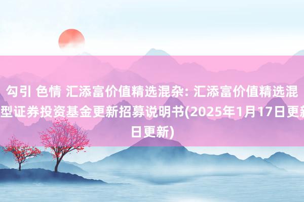 勾引 色情 汇添富价值精选混杂: 汇添富价值精选混杂型证券投资基金更新招募说明书(2025年1月17日更新)
