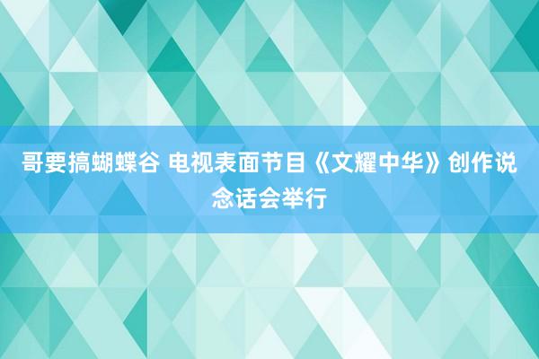 哥要搞蝴蝶谷 电视表面节目《文耀中华》创作说念话会举行