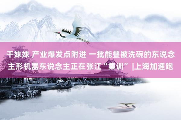 干妹妹 产业爆发点附进 一批能叠被洗碗的东说念主形机器东说念主正在张江“集训” |上海加速跑