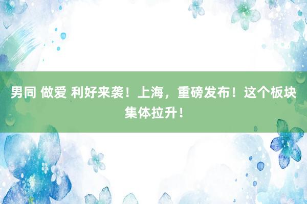 男同 做爱 利好来袭！上海，重磅发布！这个板块集体拉升！