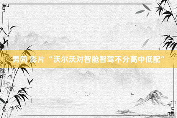男同 影片 “沃尔沃对智舱智驾不分高中低配”