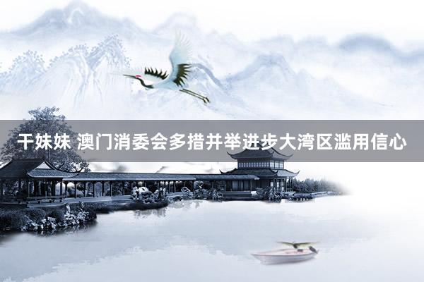 干妹妹 澳门消委会多措并举进步大湾区滥用信心