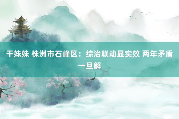 干妹妹 株洲市石峰区：综治联动显实效 两年矛盾一旦解