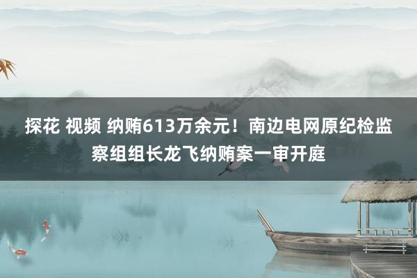 探花 视频 纳贿613万余元！南边电网原纪检监察组组长龙飞纳贿案一审开庭