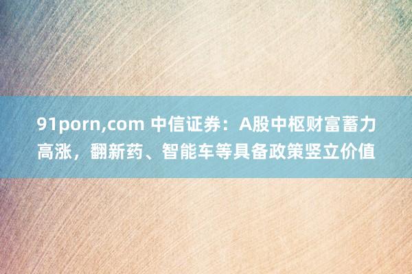 91porn，com 中信证券：A股中枢财富蓄力高涨，翻新药、智能车等具备政策竖立价值