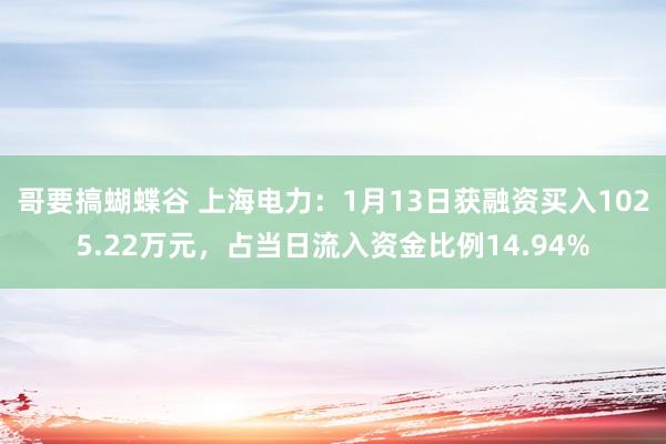 哥要搞蝴蝶谷 上海电力：1月13日获融资买入1025.22万元，占当日流入资金比例14.94%