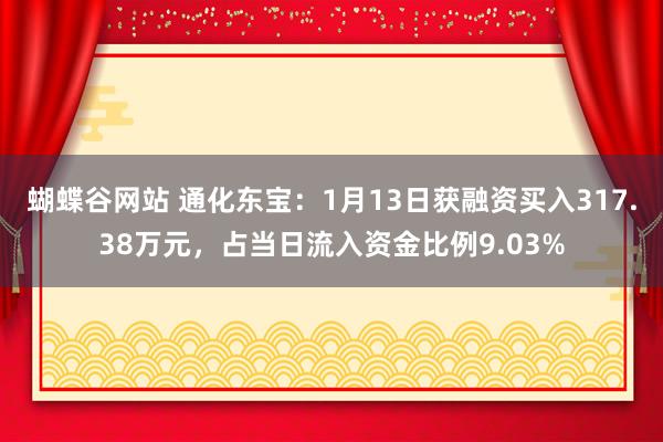 蝴蝶谷网站 通化东宝：1月13日获融资买入317.38万元，占当日流入资金比例9.03%