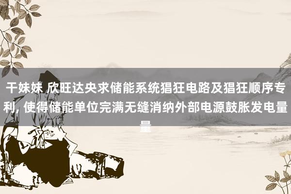 干妹妹 欣旺达央求储能系统猖狂电路及猖狂顺序专利， 使得储能单位完满无缝消纳外部电源鼓胀发电量