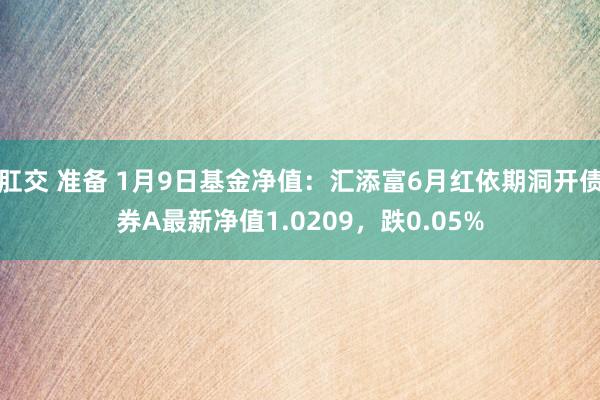 肛交 准备 1月9日基金净值：汇添富6月红依期洞开债券A最新净值1.0209，跌0.05%