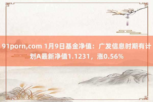 91porn，com 1月9日基金净值：广发信息时期有计划A最新净值1.1231，涨0.56%