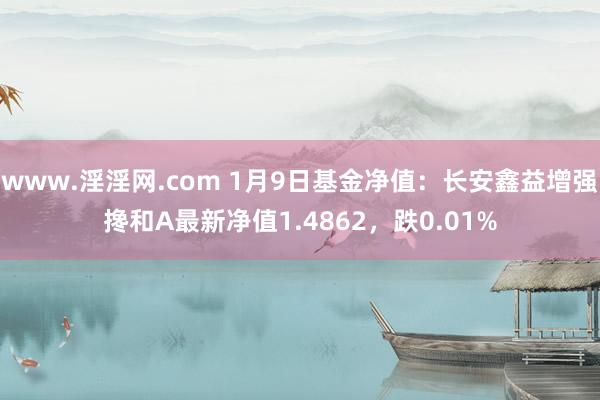www.淫淫网.com 1月9日基金净值：长安鑫益增强搀和A最新净值1.4862，跌0.01%
