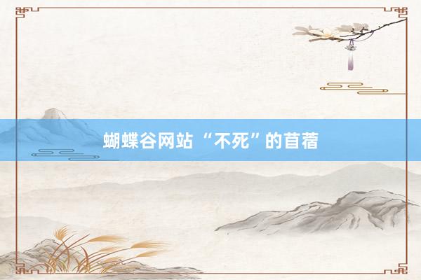 蝴蝶谷网站 “不死”的苜蓿