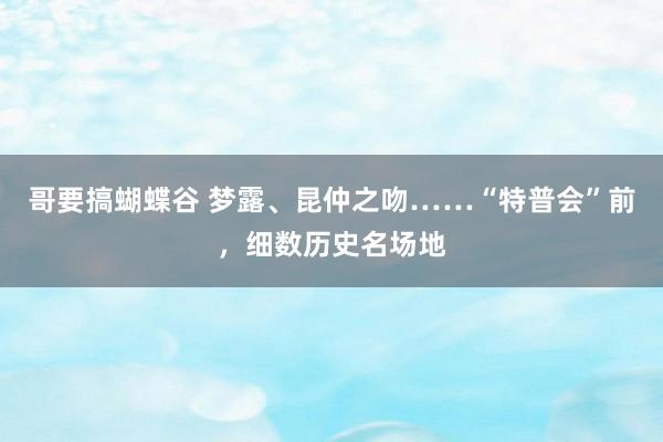 哥要搞蝴蝶谷 梦露、昆仲之吻……“特普会”前，细数历史名场地
