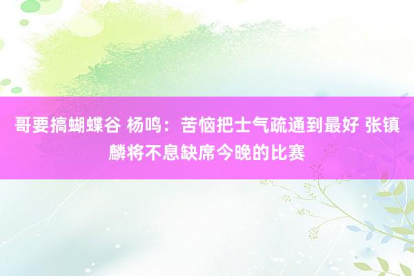 哥要搞蝴蝶谷 杨鸣：苦恼把士气疏通到最好 张镇麟将不息缺席今晚的比赛
