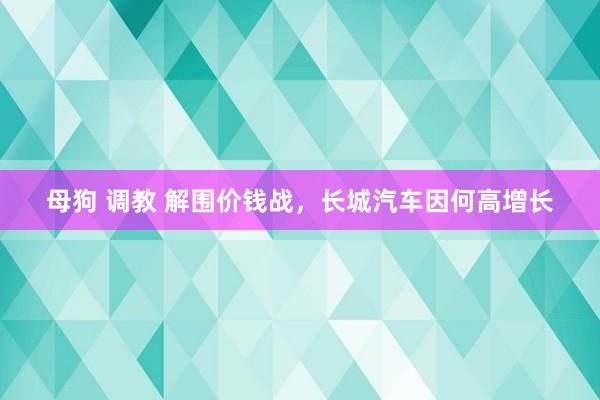 母狗 调教 解围价钱战，长城汽车因何高增长