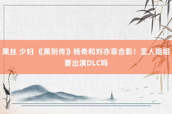 黑丝 少妇 《黑别传》杨奇和刘亦菲合影！至人姐姐要出演DLC吗