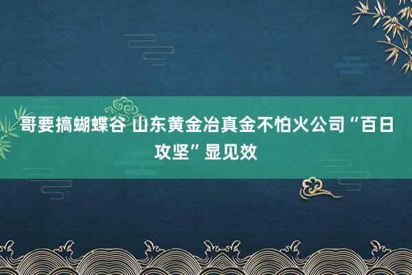 哥要搞蝴蝶谷 山东黄金冶真金不怕火公司“百日攻坚”显见效
