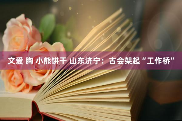 文爱 胸 小熊饼干 山东济宁：古会架起“工作桥”