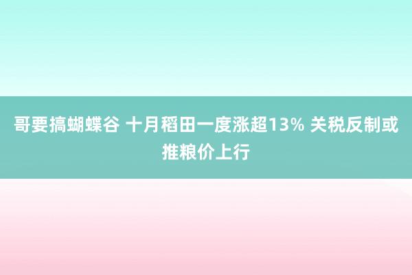 哥要搞蝴蝶谷 十月稻田一度涨超13% 关税反制或推粮价上行