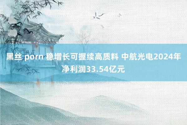 黑丝 porn 稳增长可握续高质料 中航光电2024年净利润33.54亿元