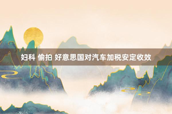 妇科 偷拍 好意思国对汽车加税安定收效