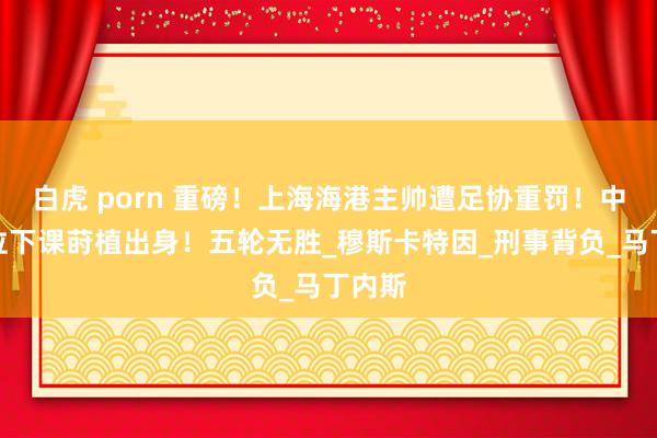 白虎 porn 重磅！上海海港主帅遭足协重罚！中超首位下课莳植出身！五轮无胜_穆斯卡特因_刑事背负_马丁内斯