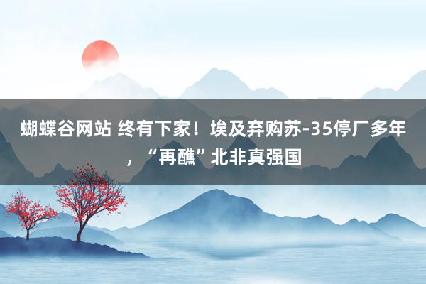 蝴蝶谷网站 终有下家！埃及弃购苏-35停厂多年，“再醮”北非真强国