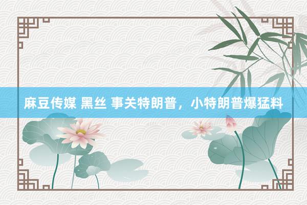 麻豆传媒 黑丝 事关特朗普，小特朗普爆猛料