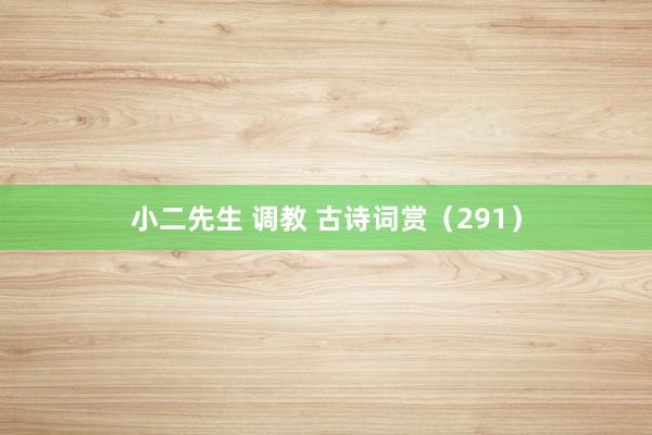 小二先生 调教 古诗词赏(291)