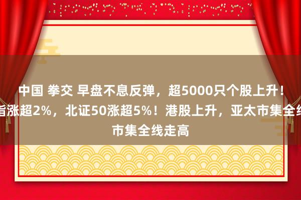 中国 拳交 早盘不息反弹，超5000只个股上升！创业指涨超2%，北证50涨超5%！港股上升，亚太市集全线走高