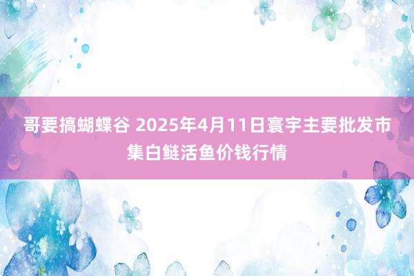 哥要搞蝴蝶谷 2025年4月11日寰宇主要批发市集白鲢活鱼价钱行情