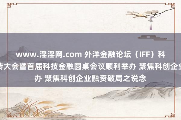 www.淫淫网.com 外洋金融论坛（IFF）科技金融委员会运转大会暨首届科技金融圆桌会议顺利举办 聚焦科创企业融资破局之说念