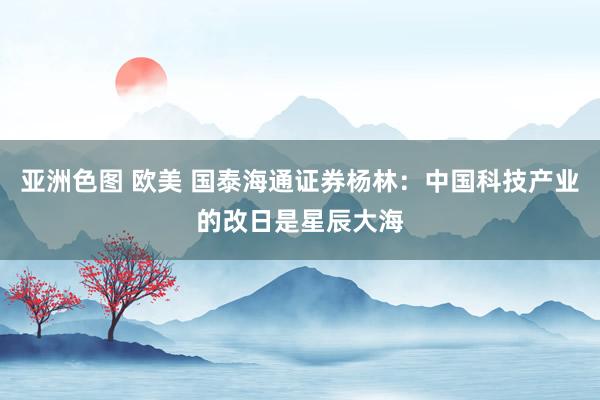 亚洲色图 欧美 国泰海通证券杨林：中国科技产业的改日是星辰大海