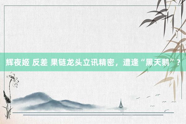 辉夜姬 反差 果链龙头立讯精密，遭逢“黑天鹅”？