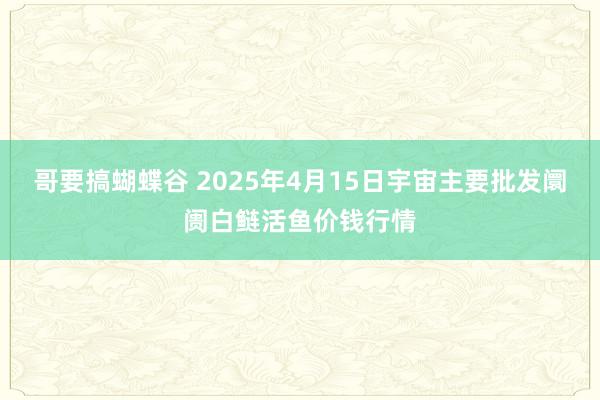 哥要搞蝴蝶谷 2025年4月15日宇宙主要批发阛阓白鲢活鱼价钱行情