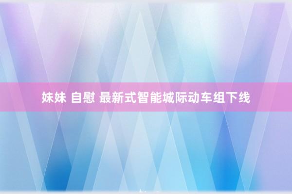 妹妹 自慰 最新式智能城际动车组下线
