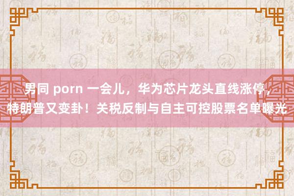 男同 porn 一会儿，华为芯片龙头直线涨停，特朗普又变卦！关税反制与自主可控股票名单曝光