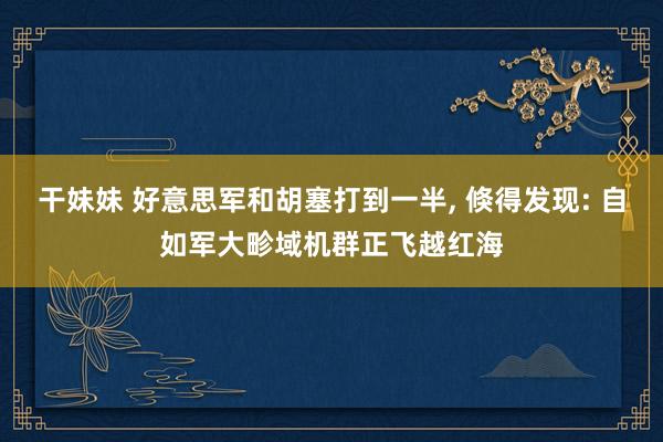 干妹妹 好意思军和胡塞打到一半， 倏得发现: 自如军大畛域机群正飞越红海