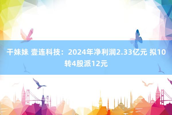 干妹妹 壹连科技：2024年净利润2.33亿元 拟10转4股派12元