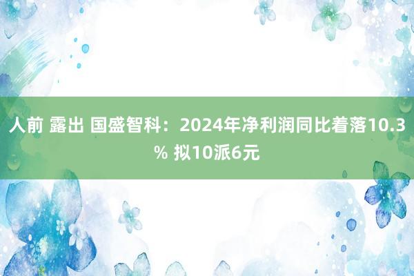 人前 露出 国盛智科：2024年净利润同比着落10.3% 拟10派6元