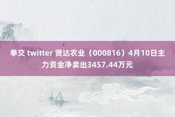 拳交 twitter 贤达农业（000816）4月10日主力资金净卖出3457.44万元